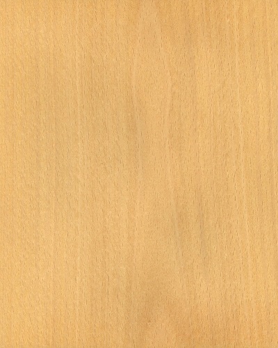 Veneer gỗ dẻ gai lạng phẳng - Gỗ Lạng Buôn Ma Thuột - Công Ty CP Gỗ Lạng Buôn Ma Thuột